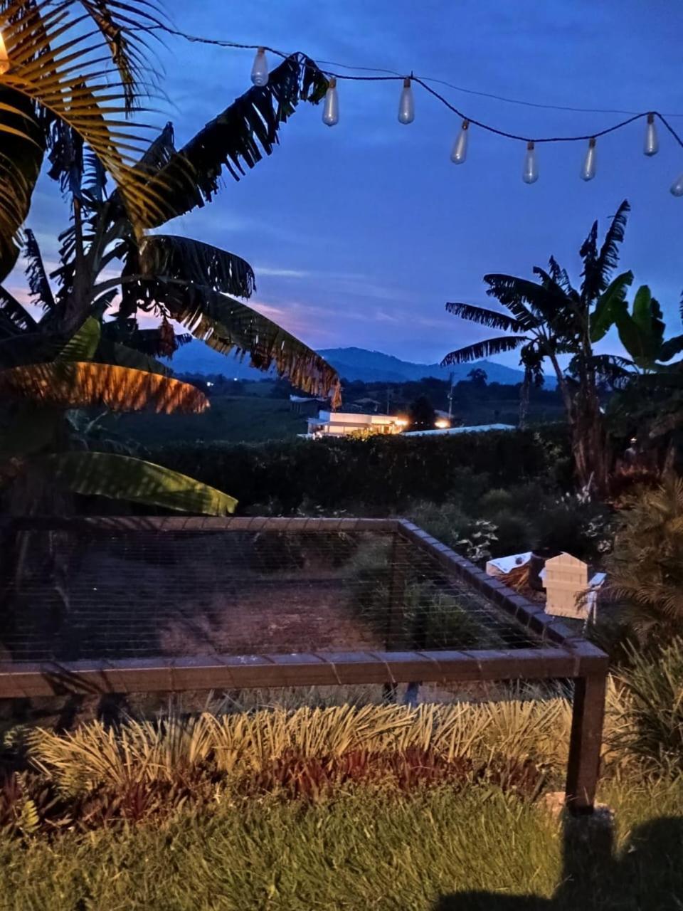 Orange Glamping Βίλα Quimbaya Εξωτερικό φωτογραφία